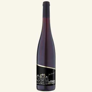 Bechtheimer Spätburgunder Rotwein trocken Edition Schaf