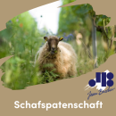 Schafspatenschaft 2024